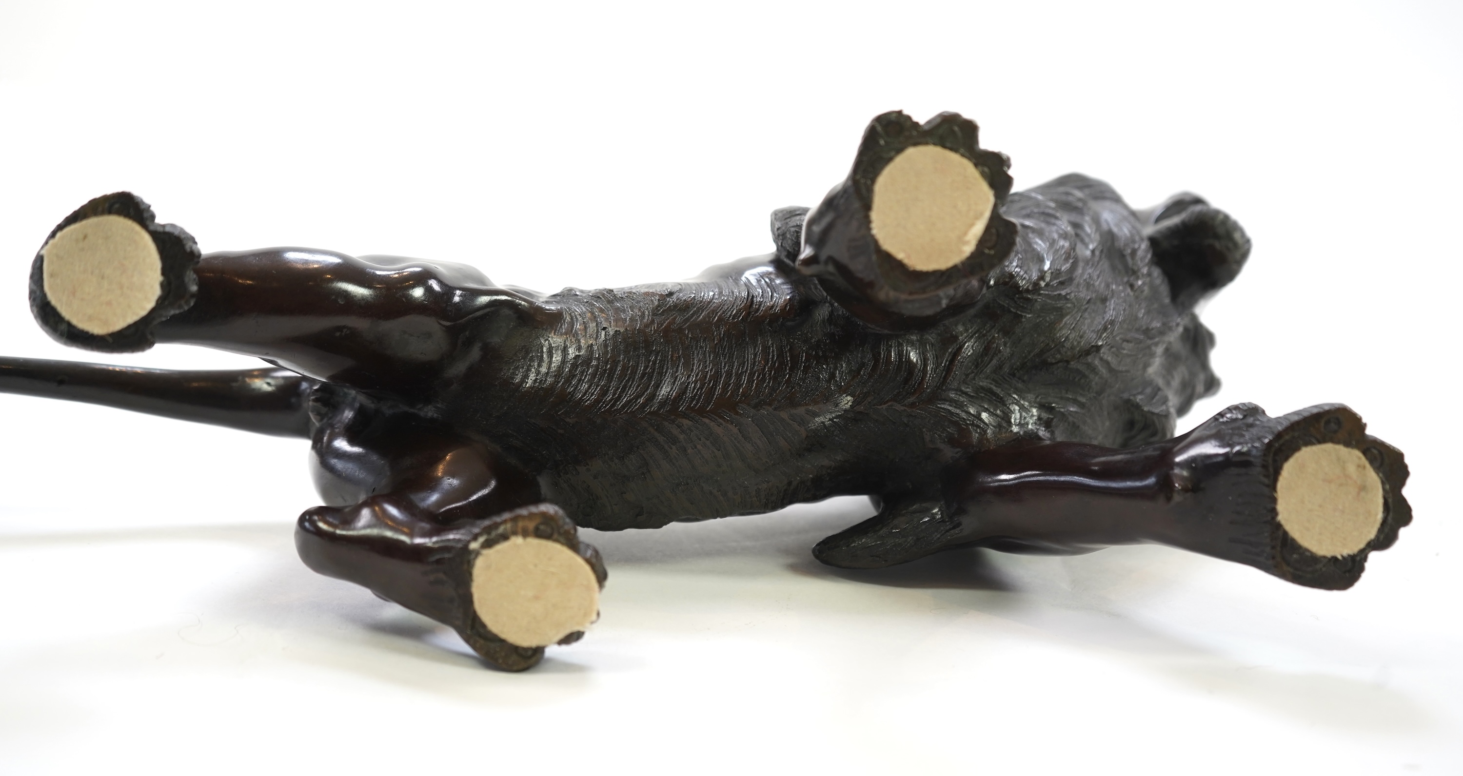 A Japanese patinated bronze okimono of a roaring lion, Meiji period